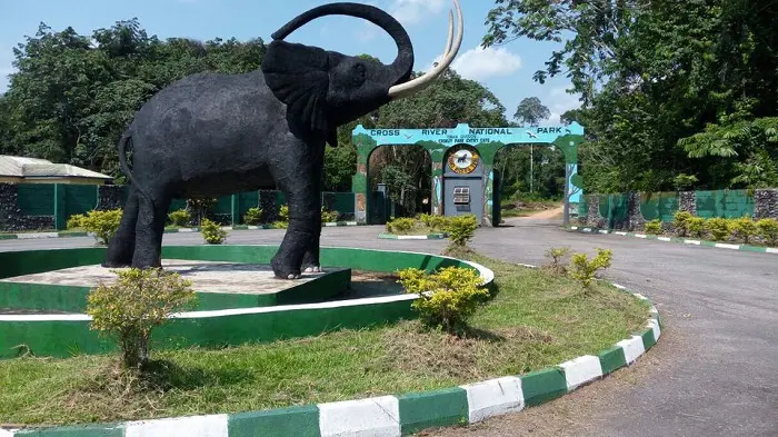 5 Breathtaking National Parks in Nigeria to Spend the Christmas Holiday - Realty Explainer