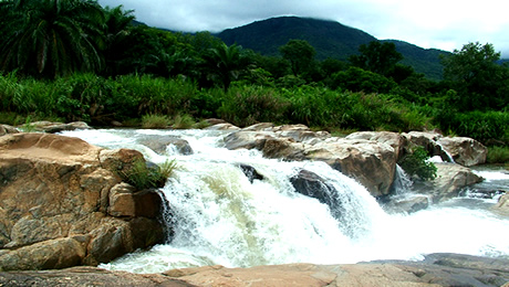 5 Breathtaking National Parks in Nigeria to Spend the Christmas Holiday - Realty Explainer