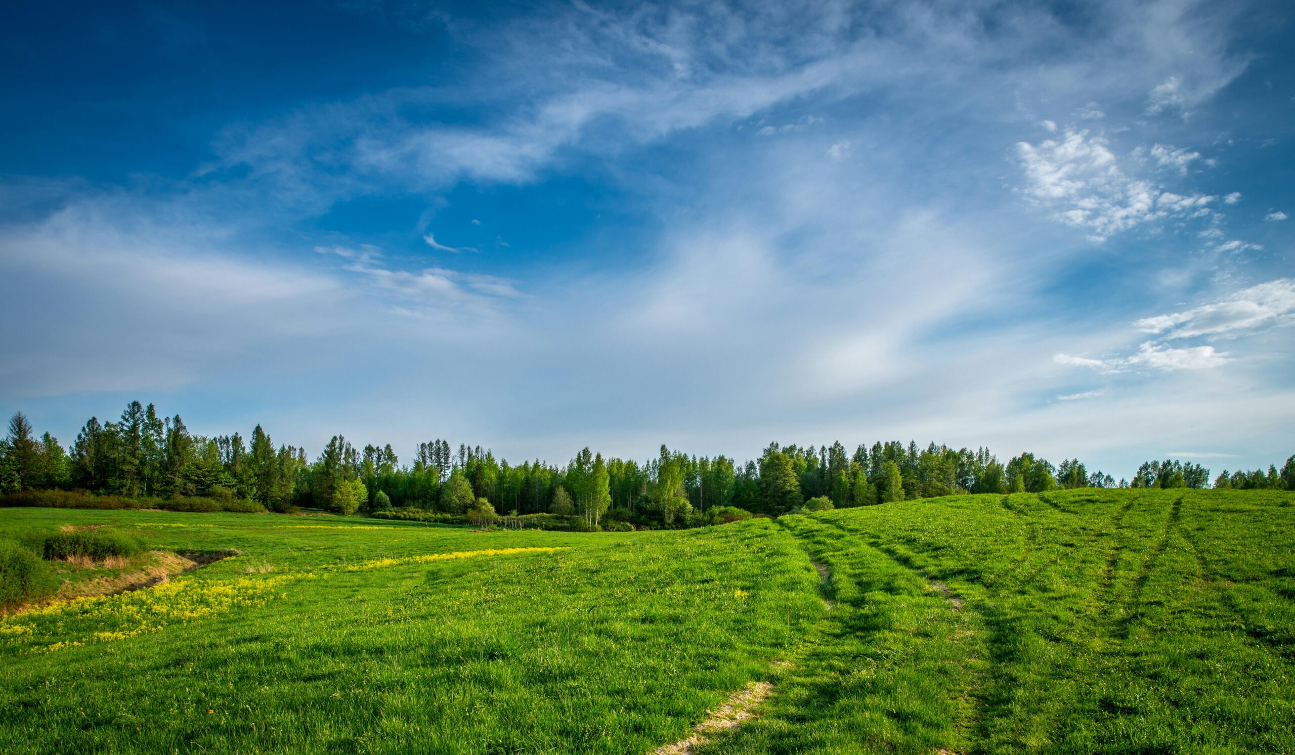 Why Land Verification is Crucial for Real Estate Success in Nigeria - Realty Explainer